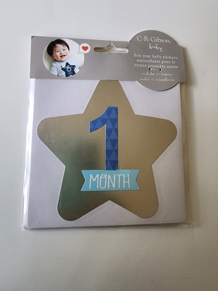First Year Belly Stickers thumbnail