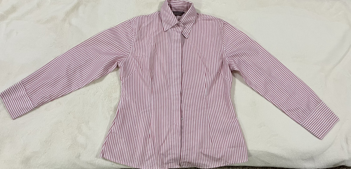 Brand new never worn Long sleeved blouse — light red stripes