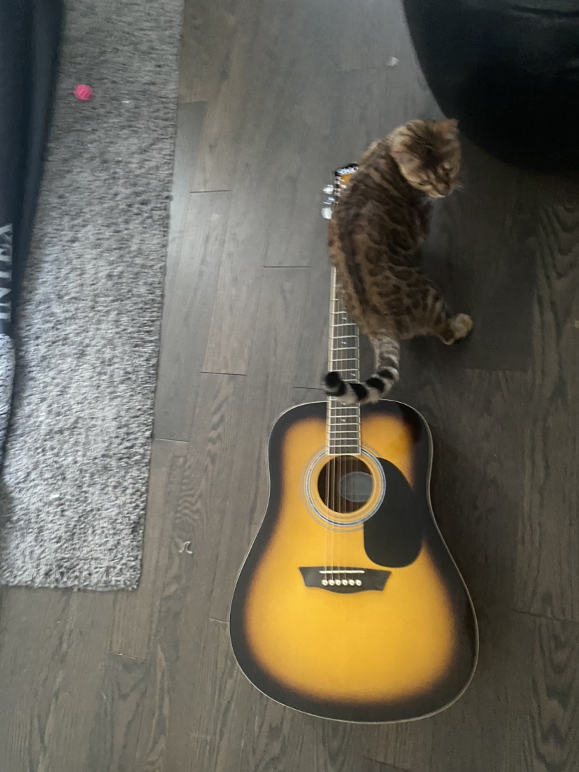 Acoustic Guitar thumbnail