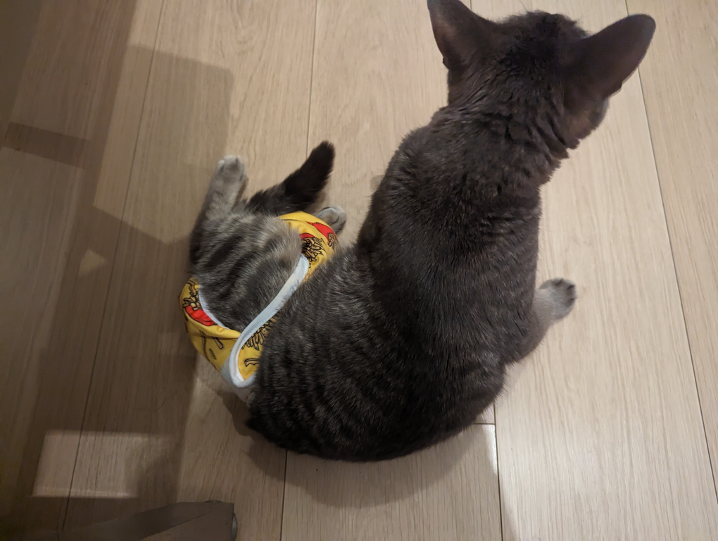 Small Pet Reusable Diapers Size S image indicator(4)