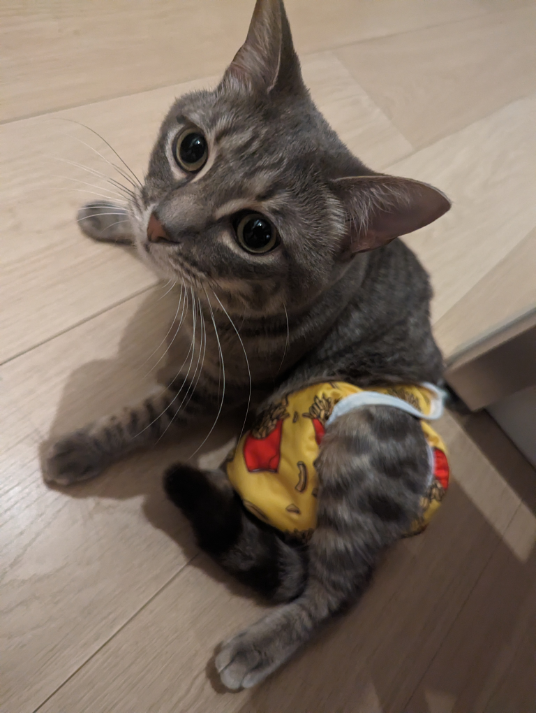 Small Pet Reusable Diapers Size S image indicator(5)