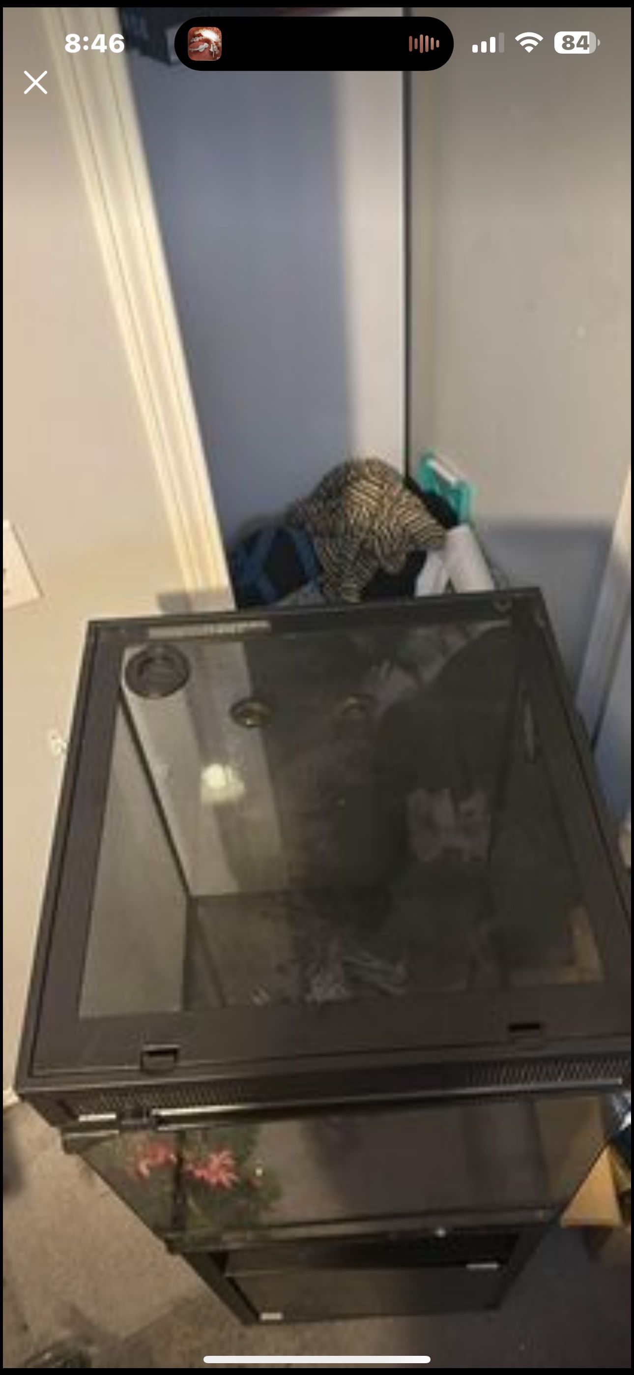 Tall terrarium - photo 3