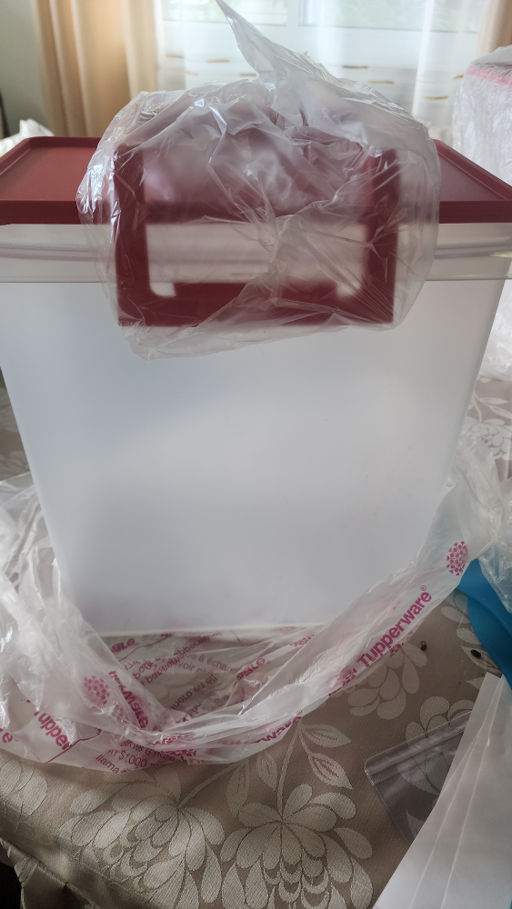 Tupperware Bowls and Carry All Cintainer