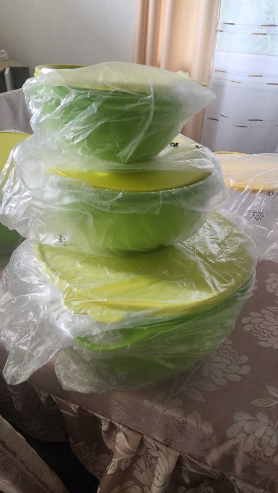 Tupperware Bowls and Carry All Cintainer - photo 5