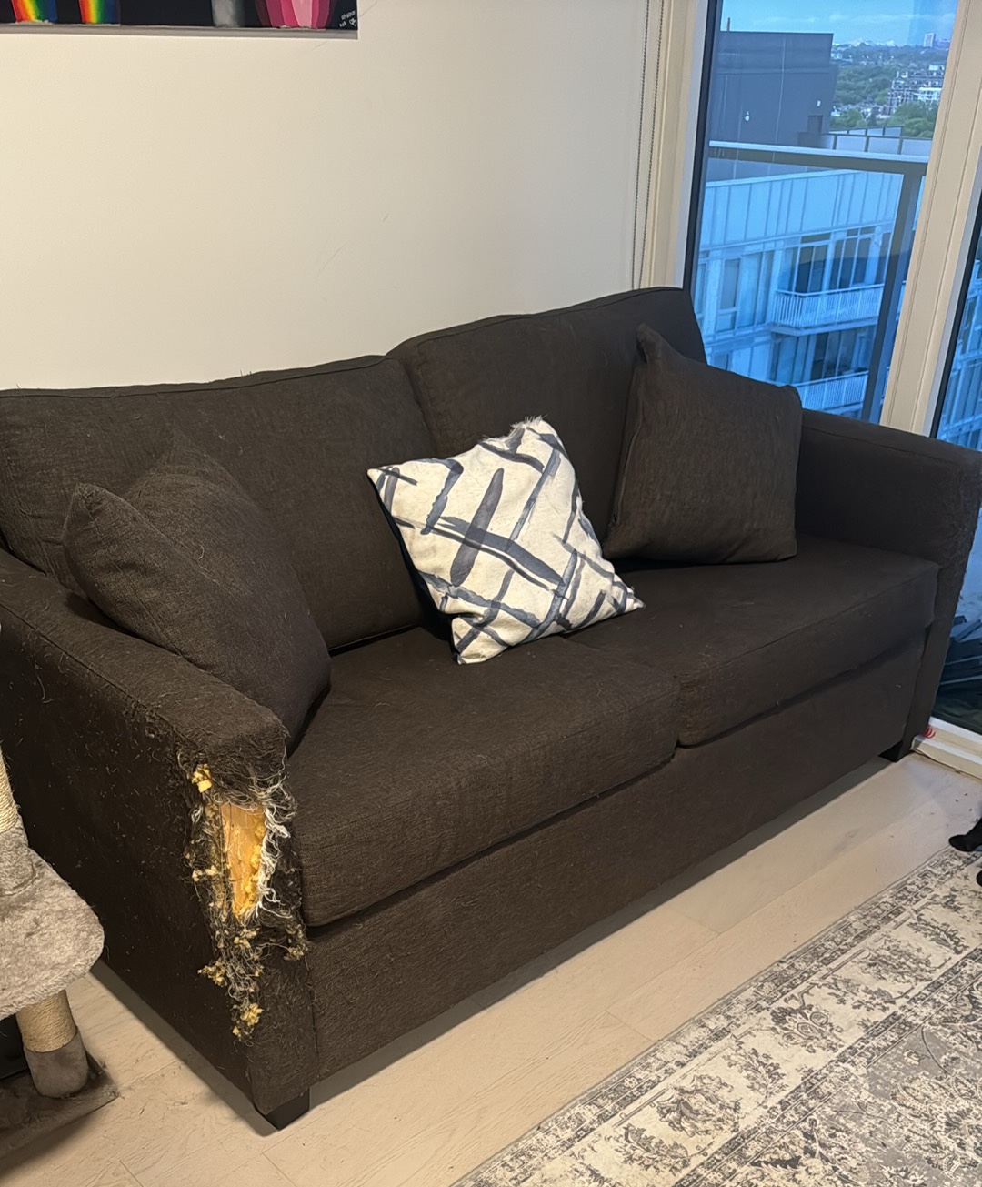FREE pull out sofa bed - photo 2