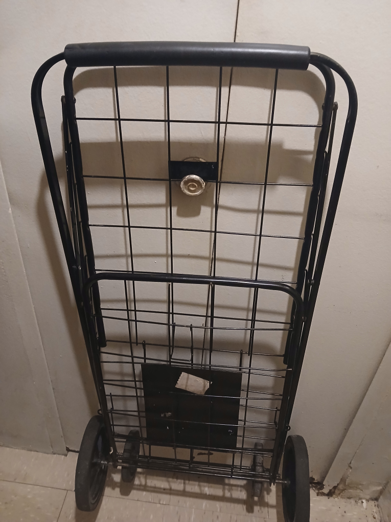 large shopping cart - photo 3