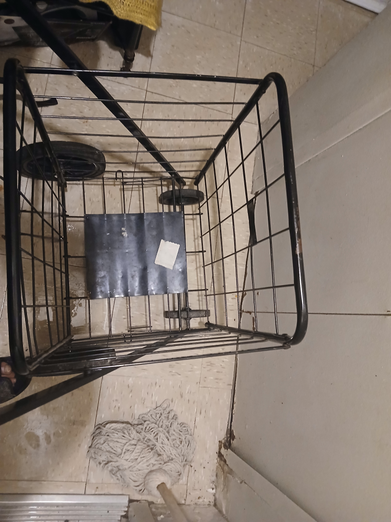 large shopping cart - photo 5