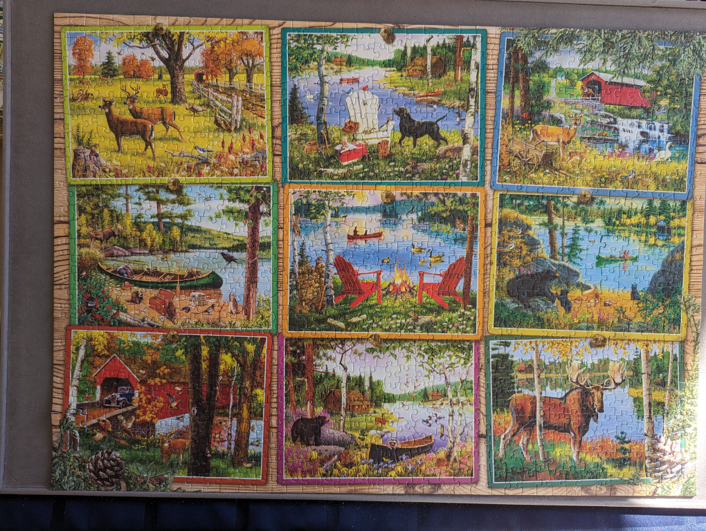 Excellent condition Cobble Hill 1000 piece puzzle image indicator(2)