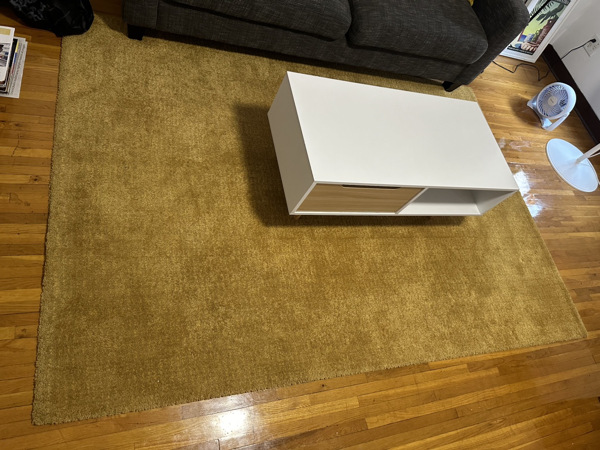 Large rug - photo 2