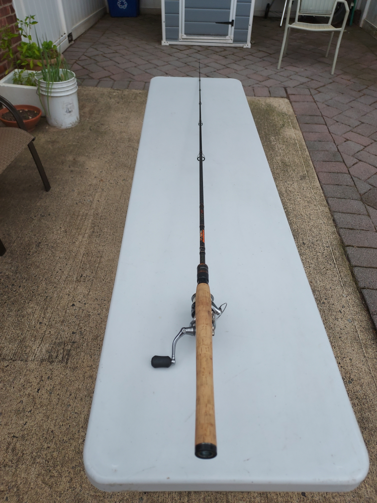 simano stradic 2500 reel + dobyns DX742 SF rod