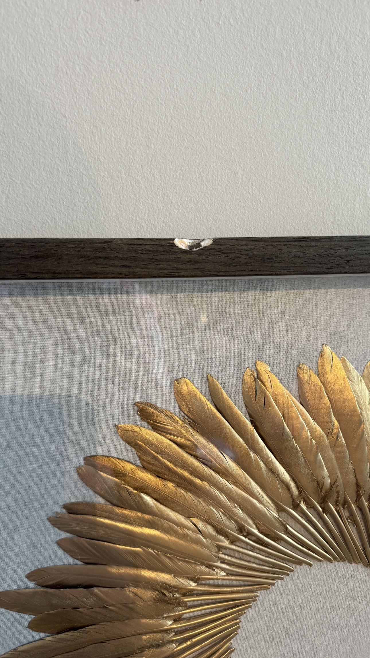 Golden Feather Frame -> 1 for $30 / 2 for $40 image indicator(5)