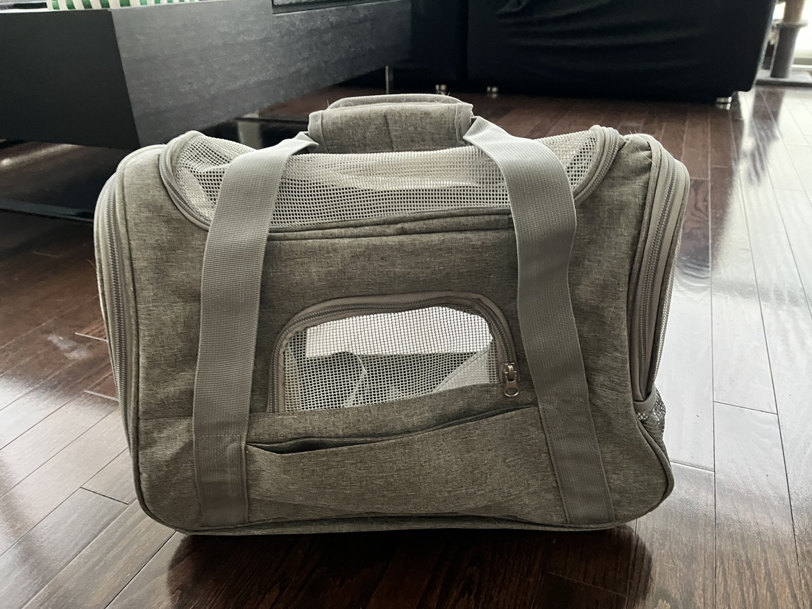 Kitten or small dog carrier