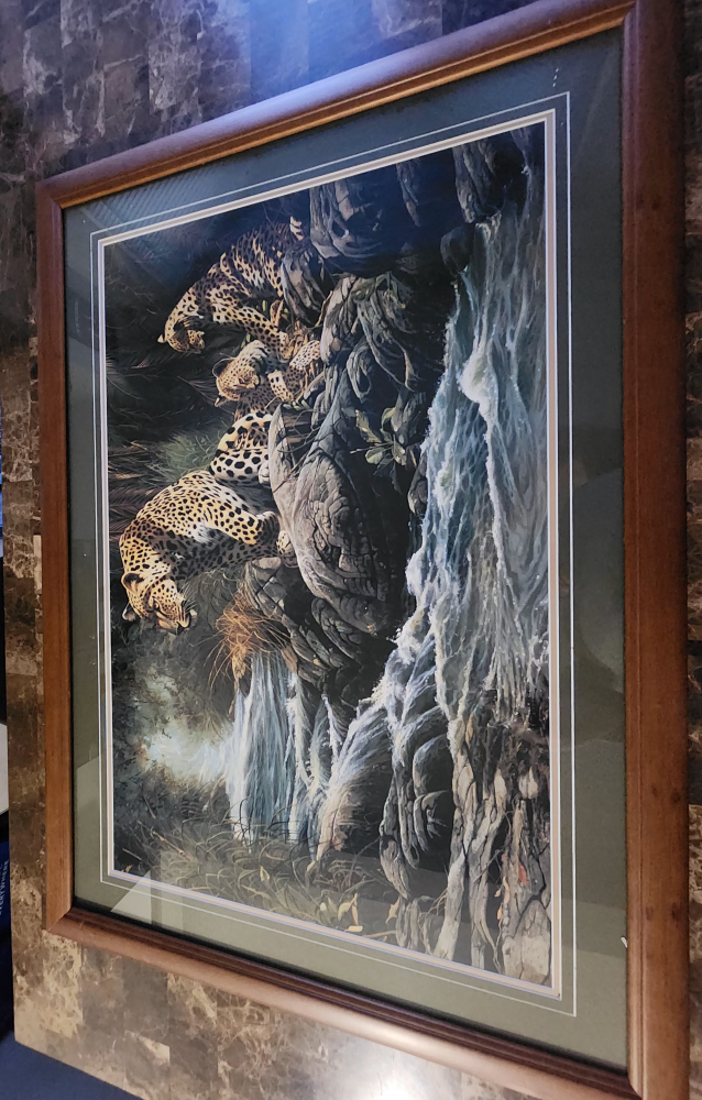 Leopard Print in Frame