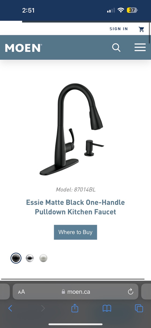 Moen Faucet