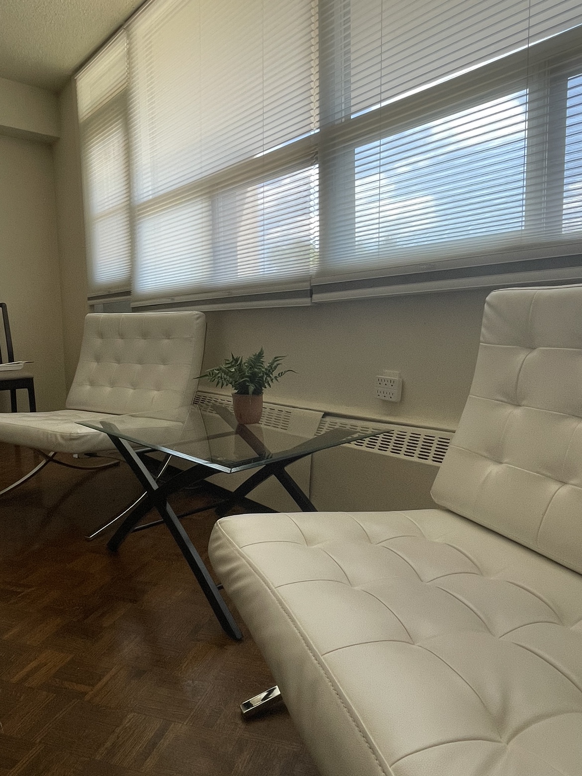 SET with 2 soft chairs and glass coffee table - photo 2