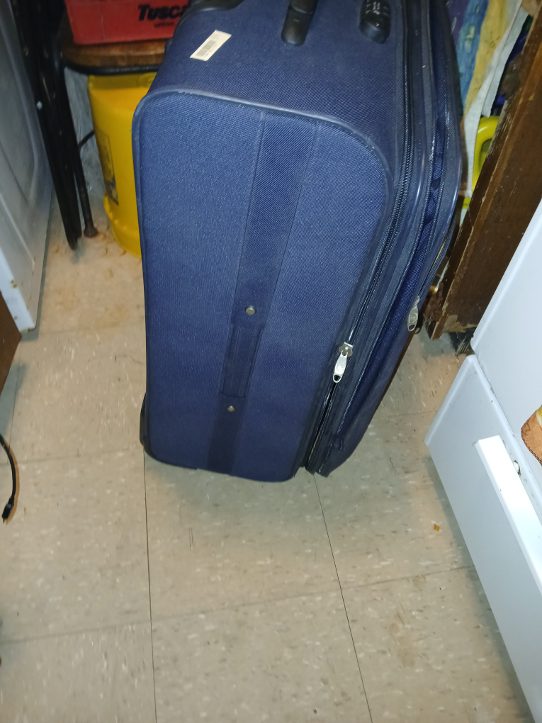 Beverly hill Is large luggage - photo 2