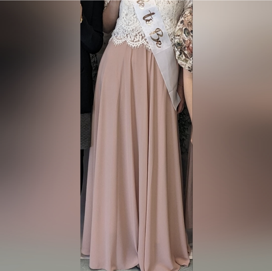 Blush Maxi Skirt image indicator(2)