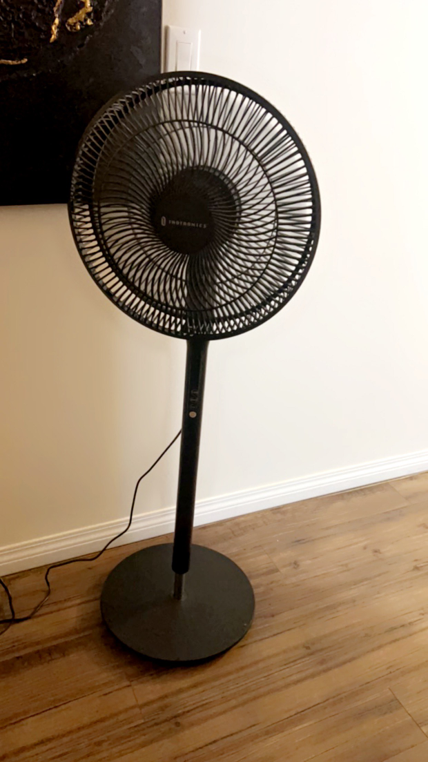 stand fan