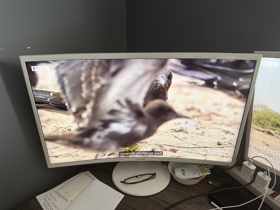 27 Inch Computer Monitors - photo 5
