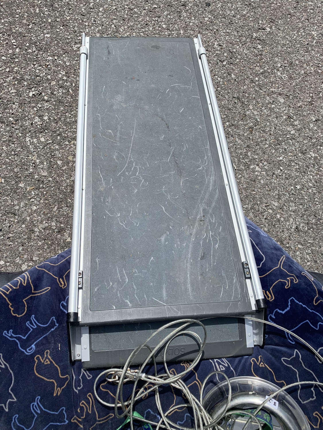 Dog ramp