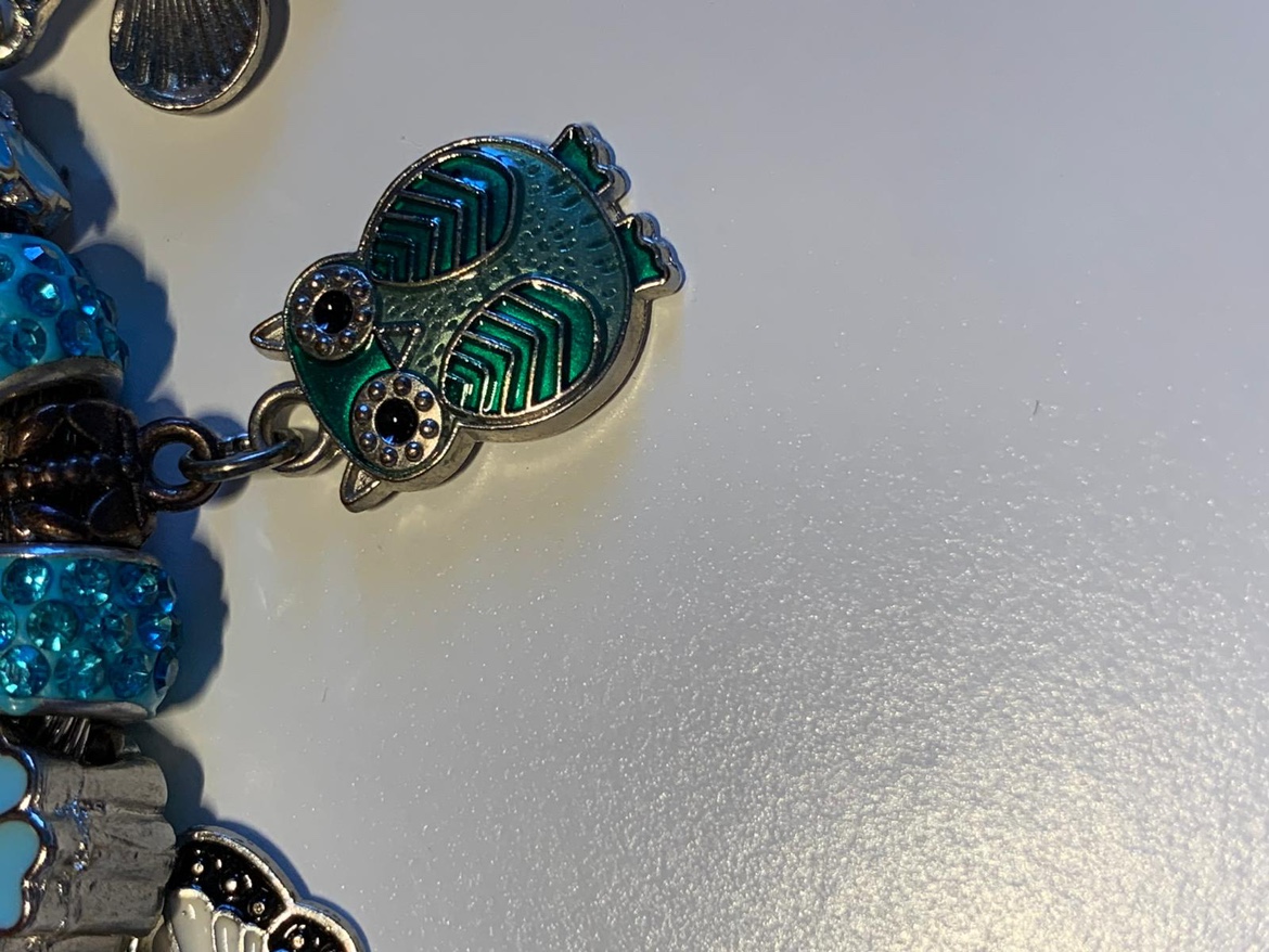 Bracelet image indicator(2)