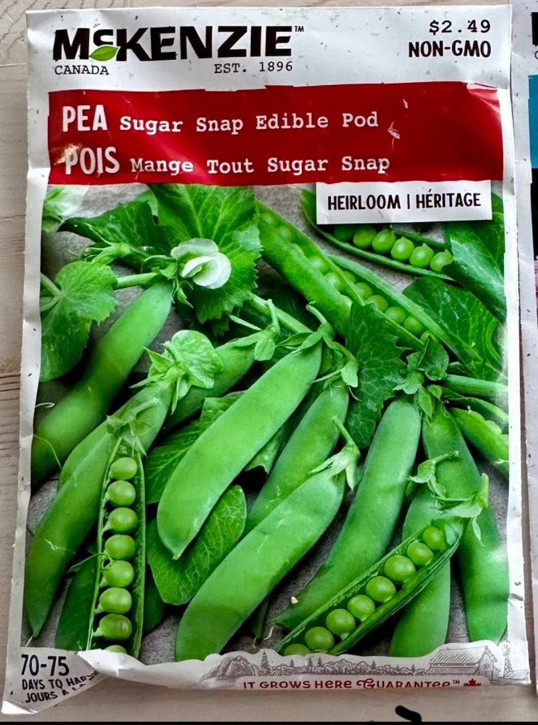 Pea seeds 🧡