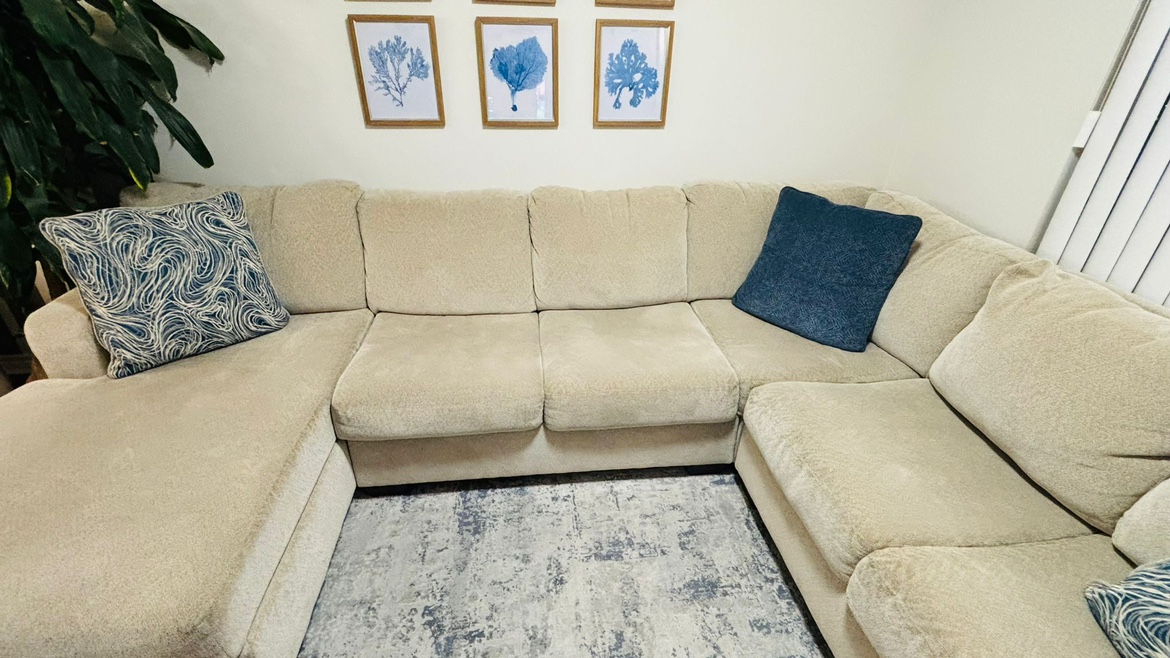 Beautiful C-section sofa for sale - photo 2