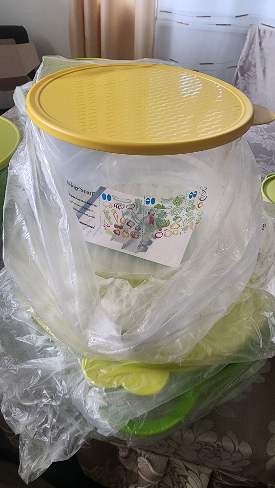 Tupperware Bowls and Carry All Cintainer - photo 4