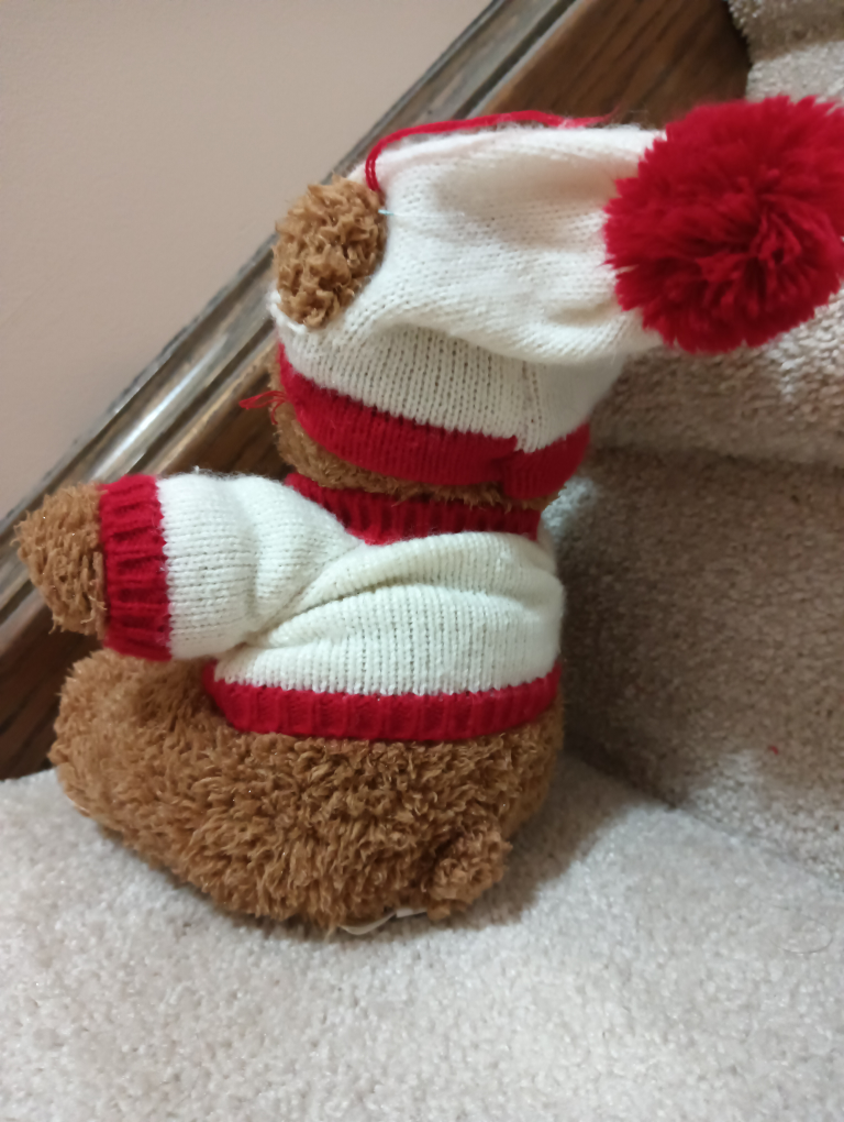 Canada Teddy Bear #freecycle - photo 2
