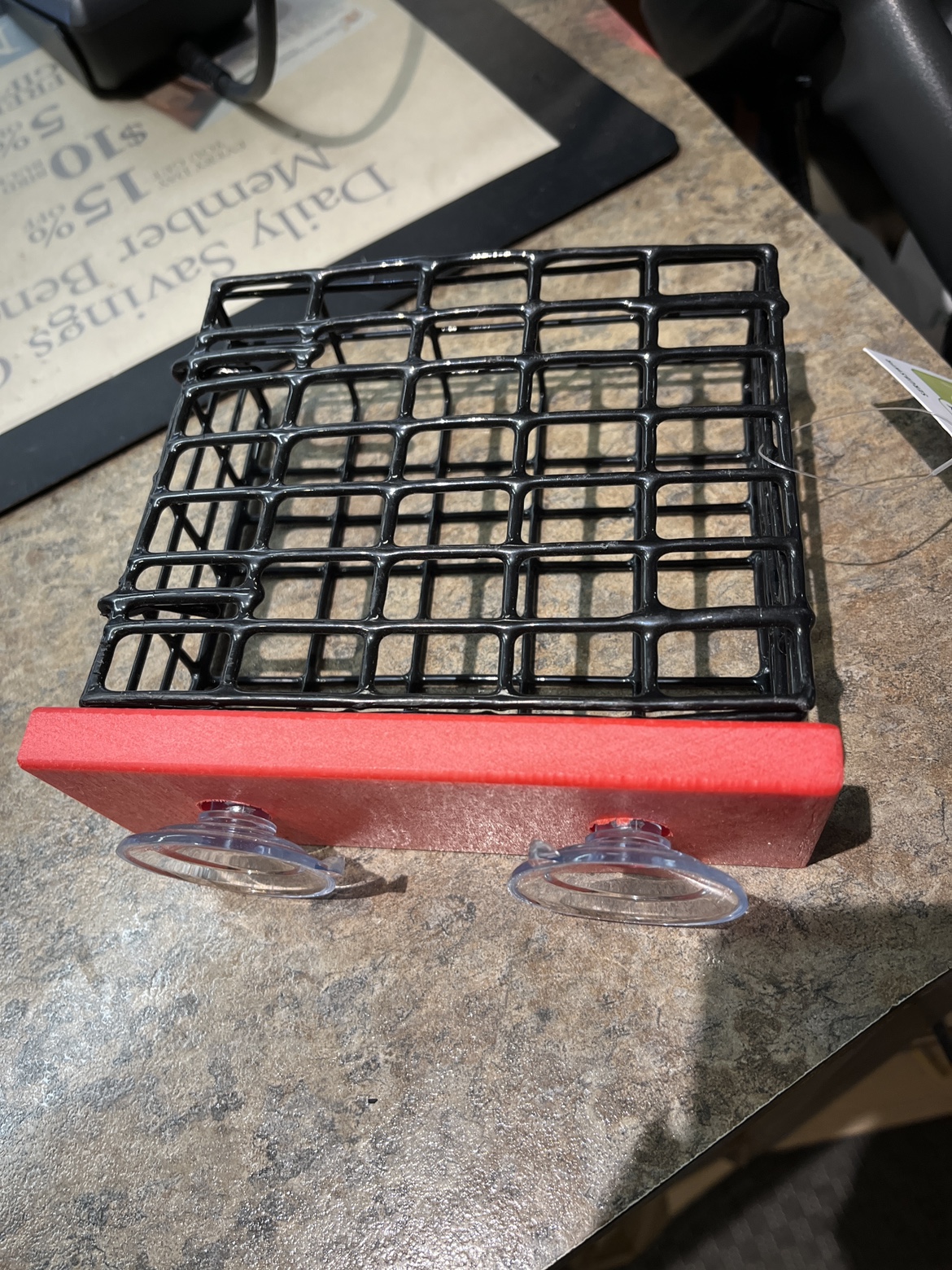 Suction Cup window Bird Feeder thumbnail