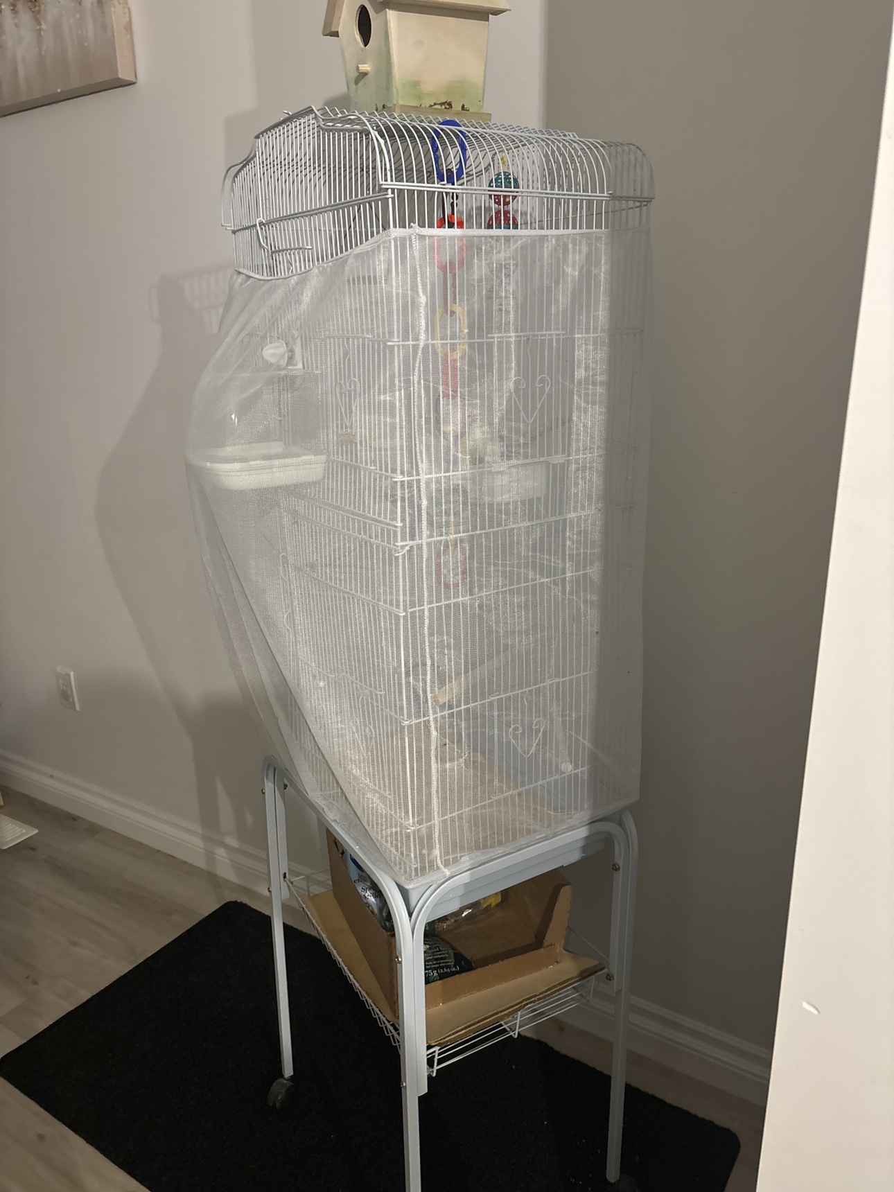 Bird cage and accessories.