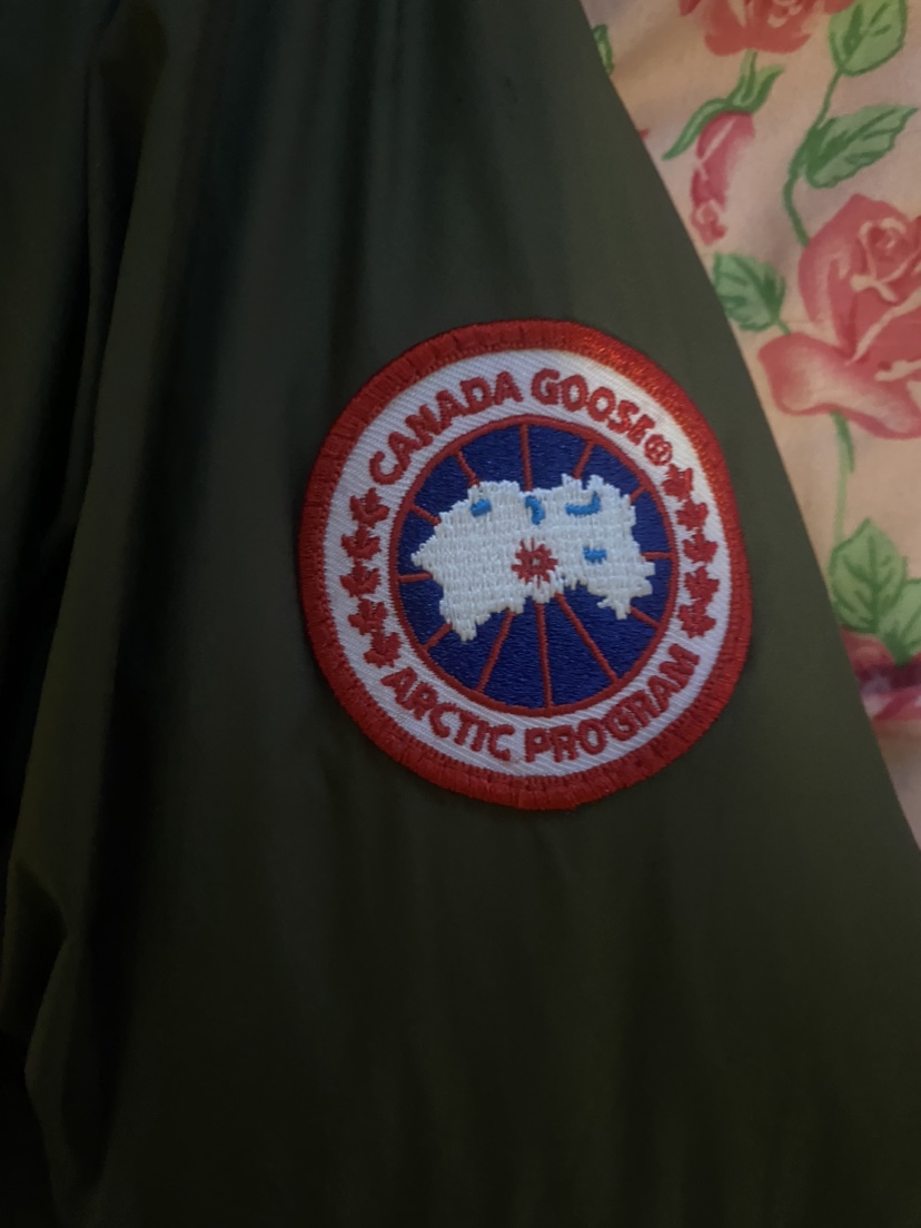 Canada Goose - photo 2