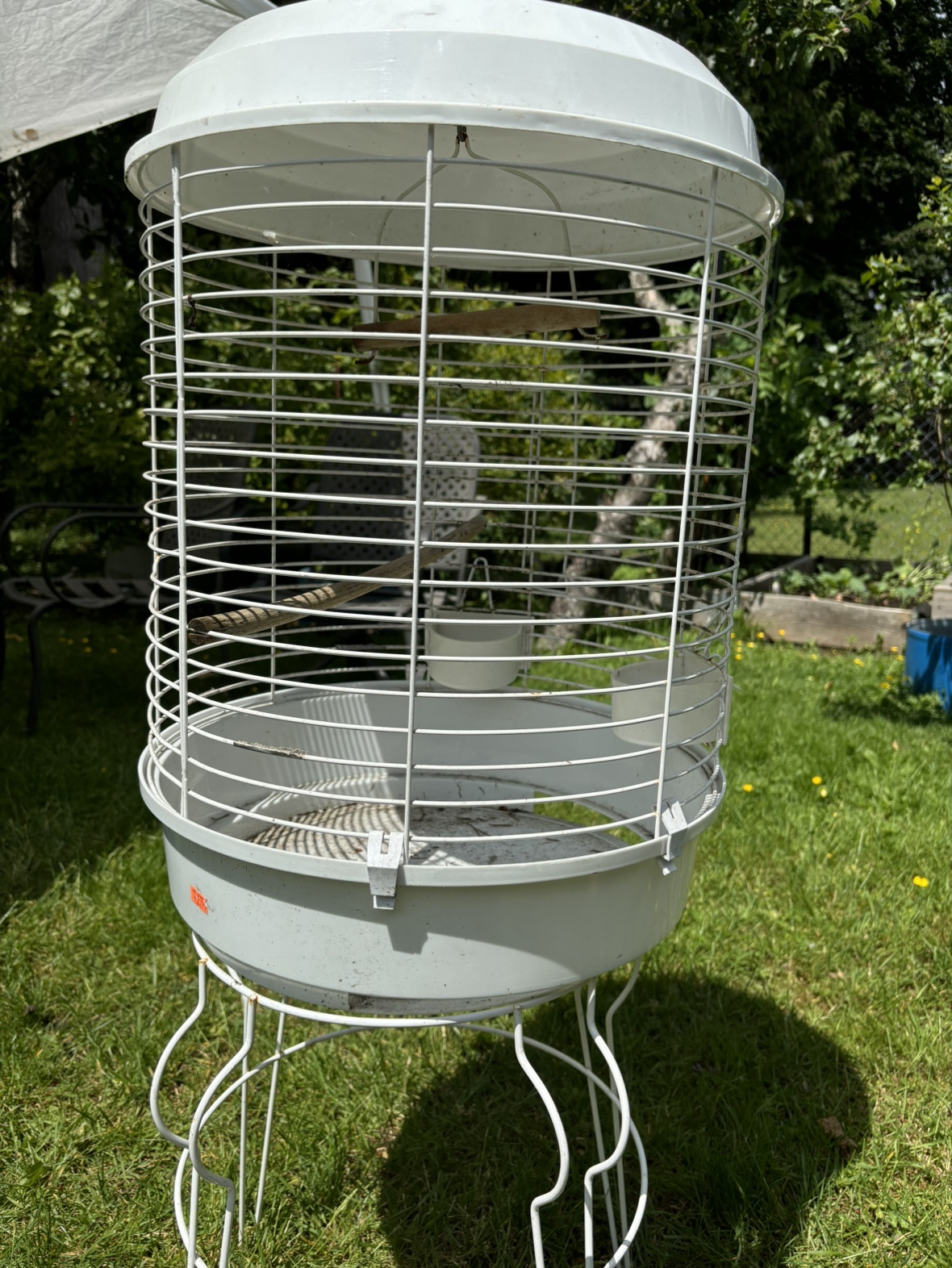 Bird Cage - photo 2