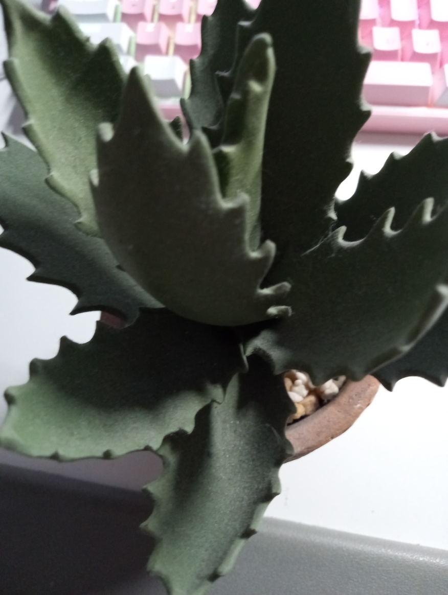fake succulent plant