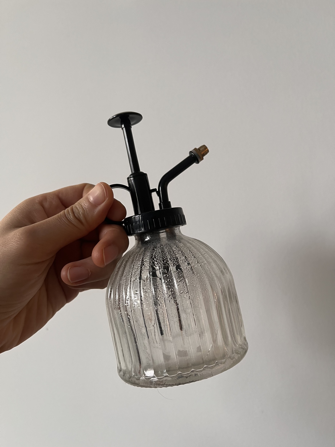 Beautiful vintage plant water mister thumbnail