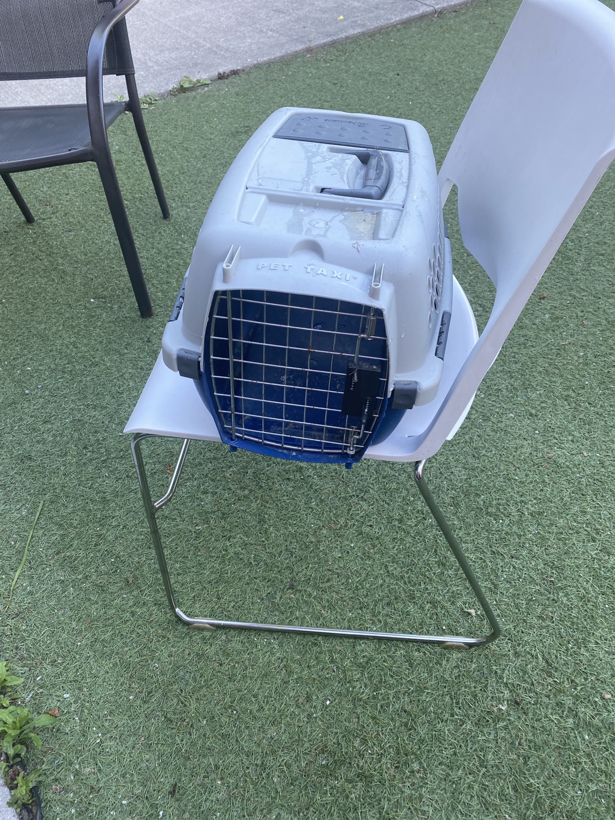 Cat carrier