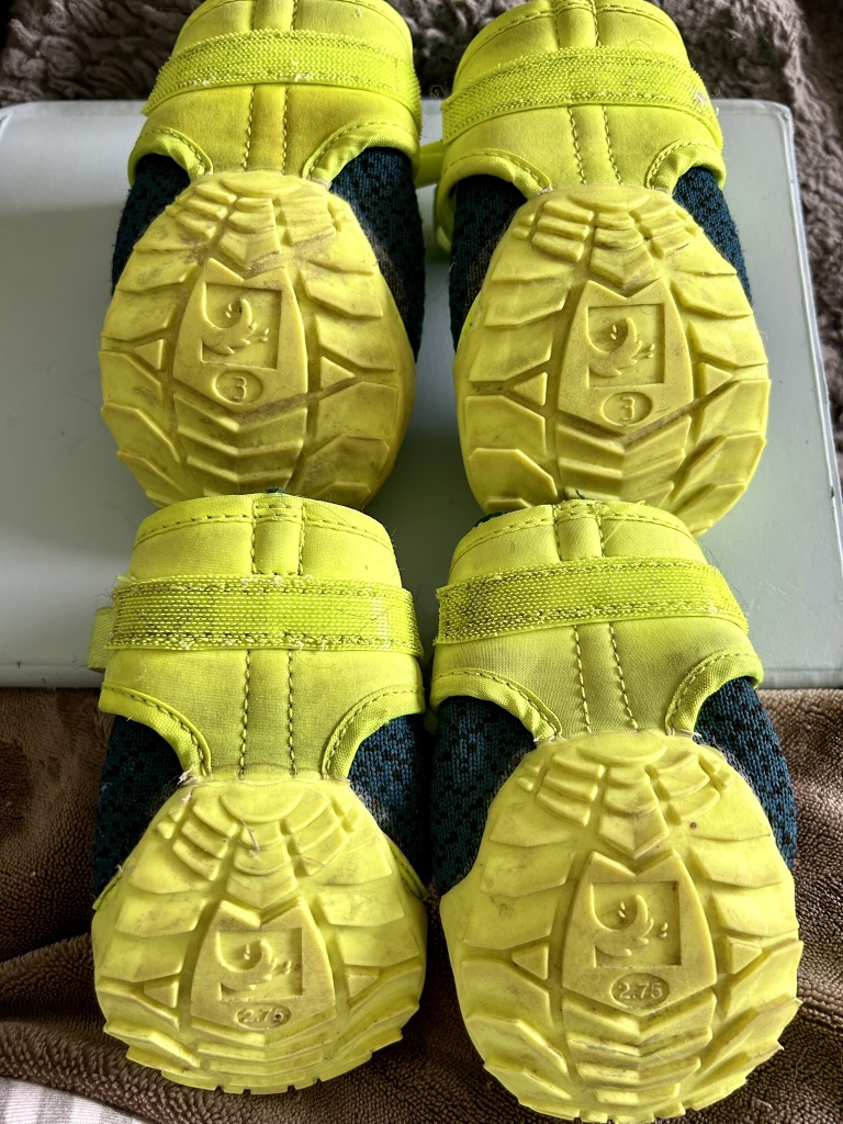 Dog boots - large image indicator(2)