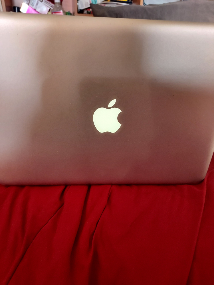 MacBook Pro12 756GB - photo 2