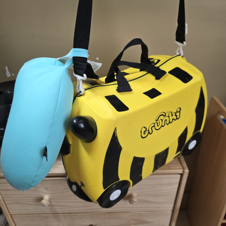 luggage