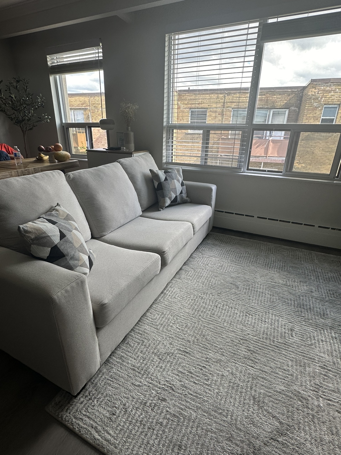 Customized Sofa with Pull-Out Queen Size Bed