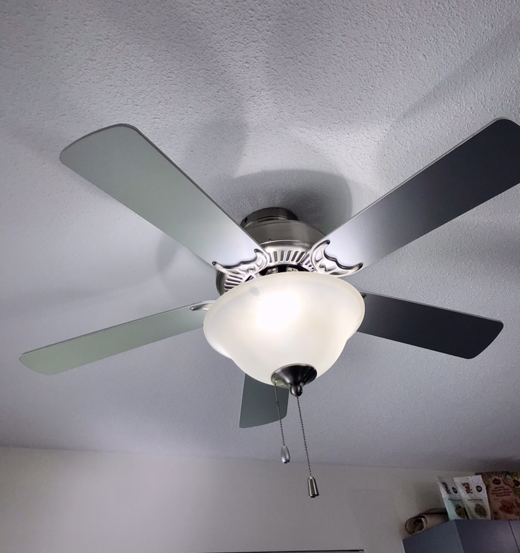Ceiling Fan LED bulbs - photo 3