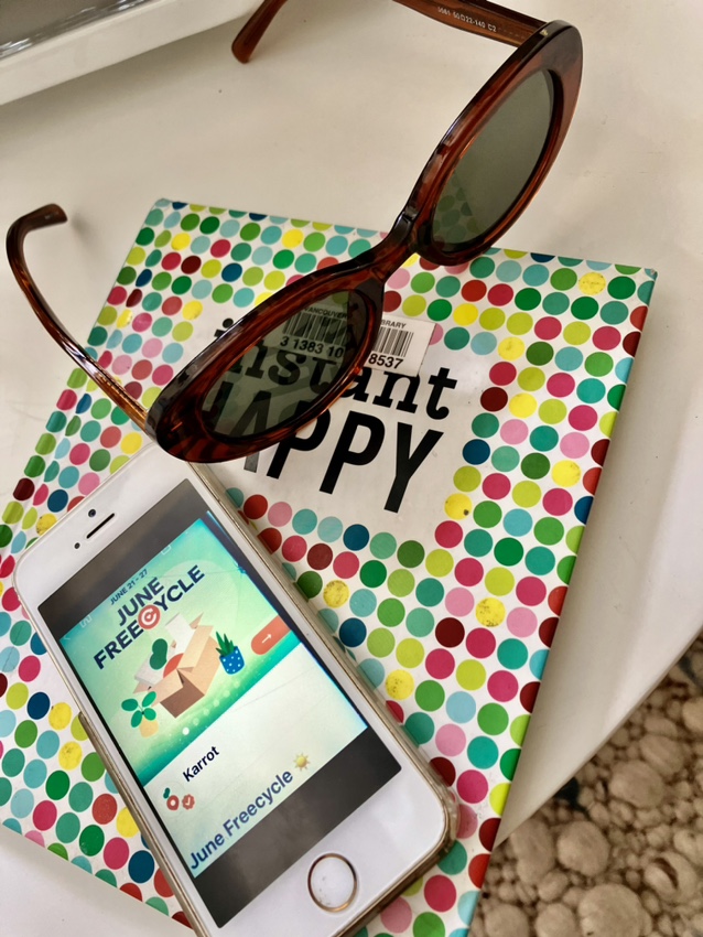 #freecycle sunglasses thumbnail