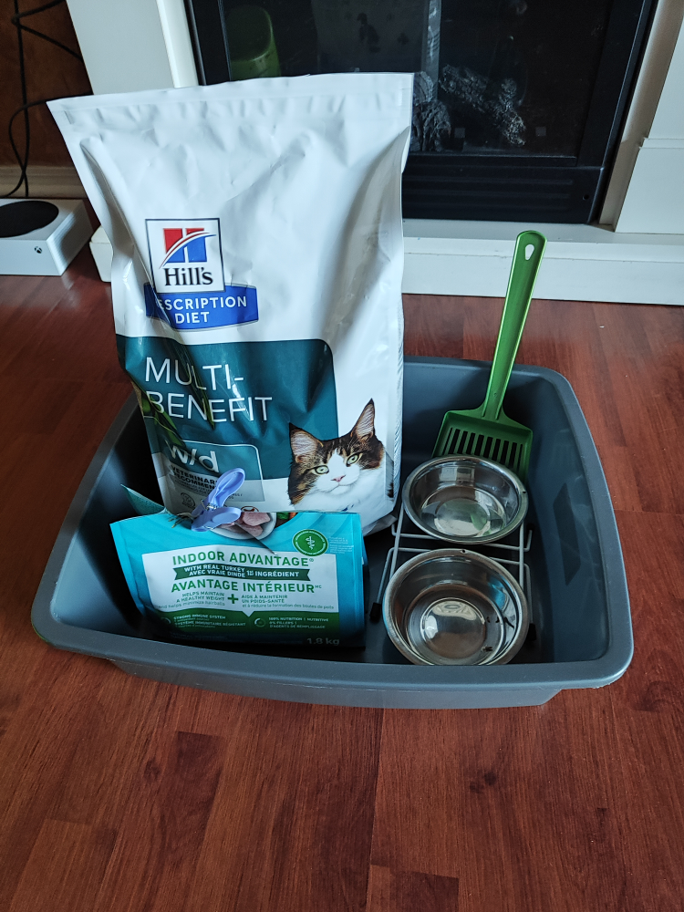 Cat food and litter box