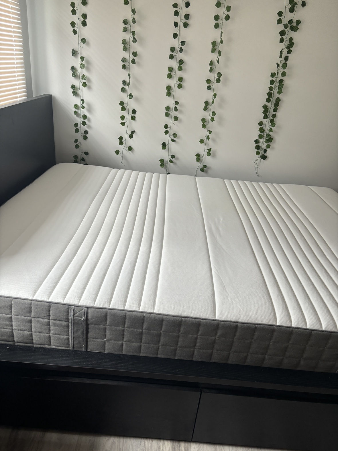 Queen Bed- mattress and bed frame