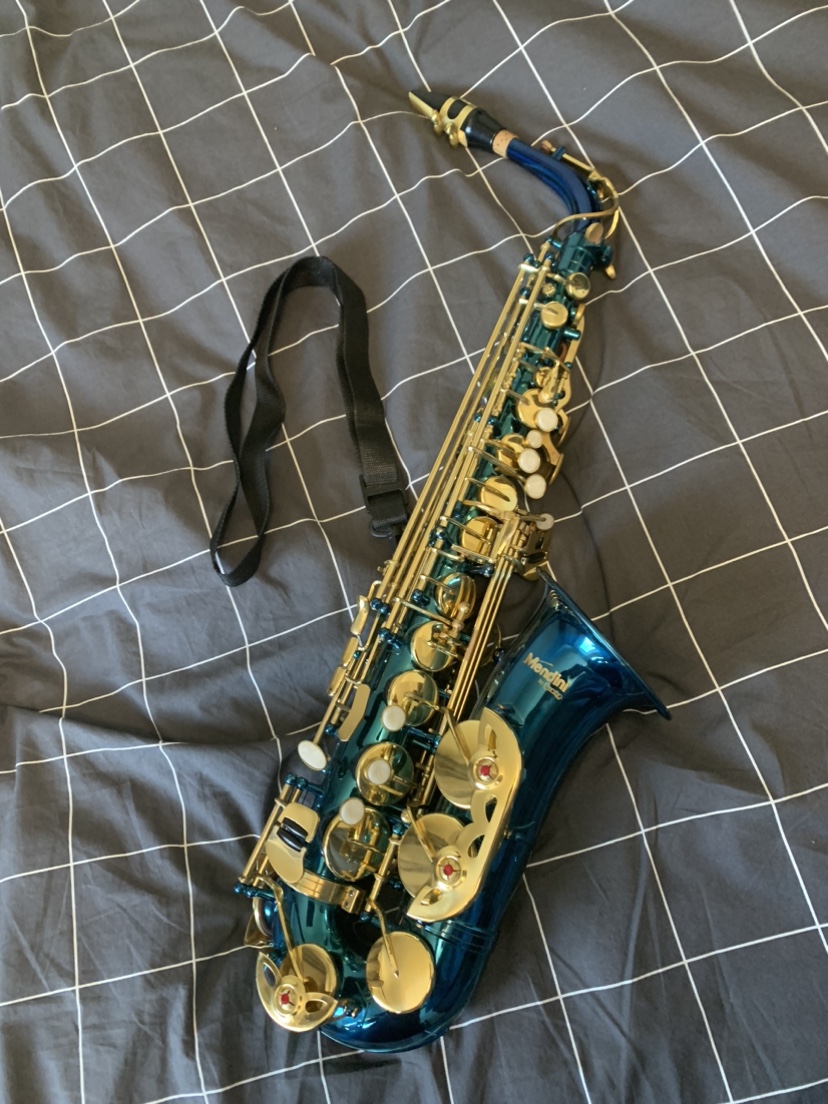 Alto Saxophone- Mendini by Cecilio