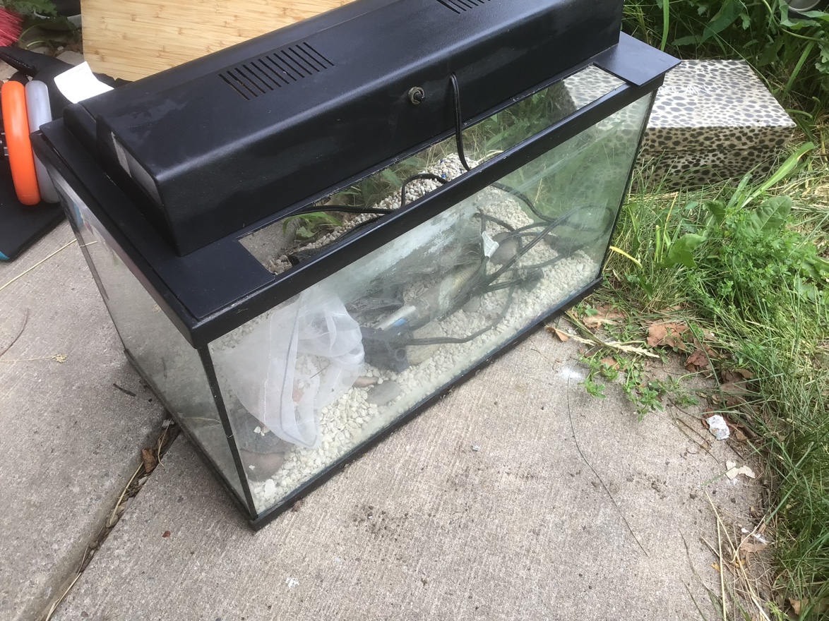 Fish tank 12x20x 8 inch thumbnail