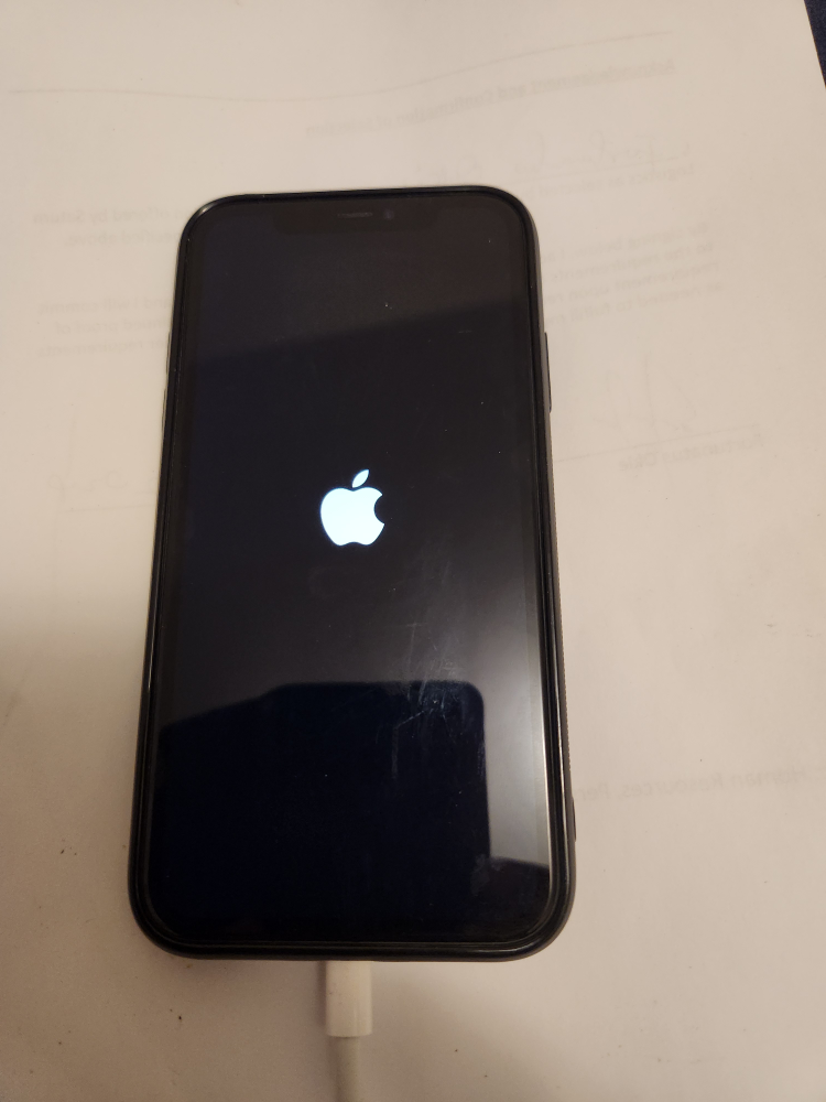 Sweet iPhone 11 with stylish casing thumbnail