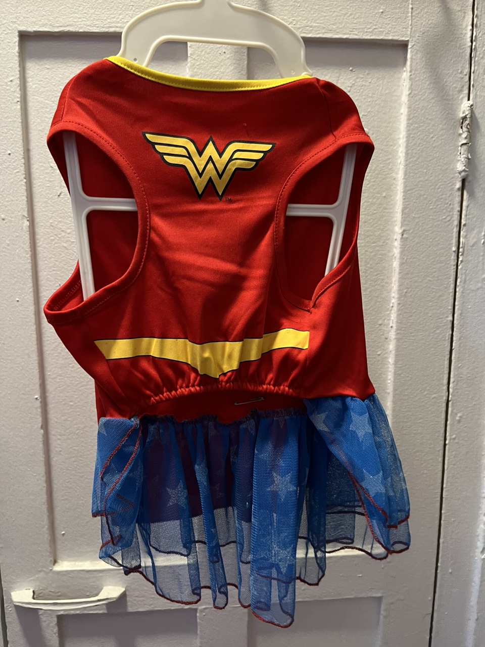 Free WonderWoman Costume to a Boston Terrier - photo 5