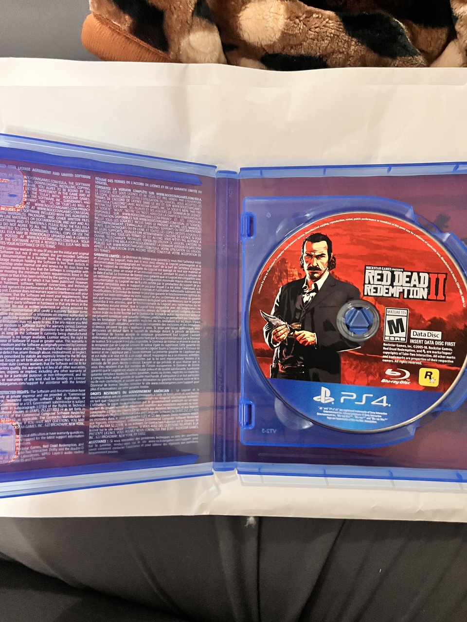 Red Dead Redemption 2 PS4 disk - photo 3