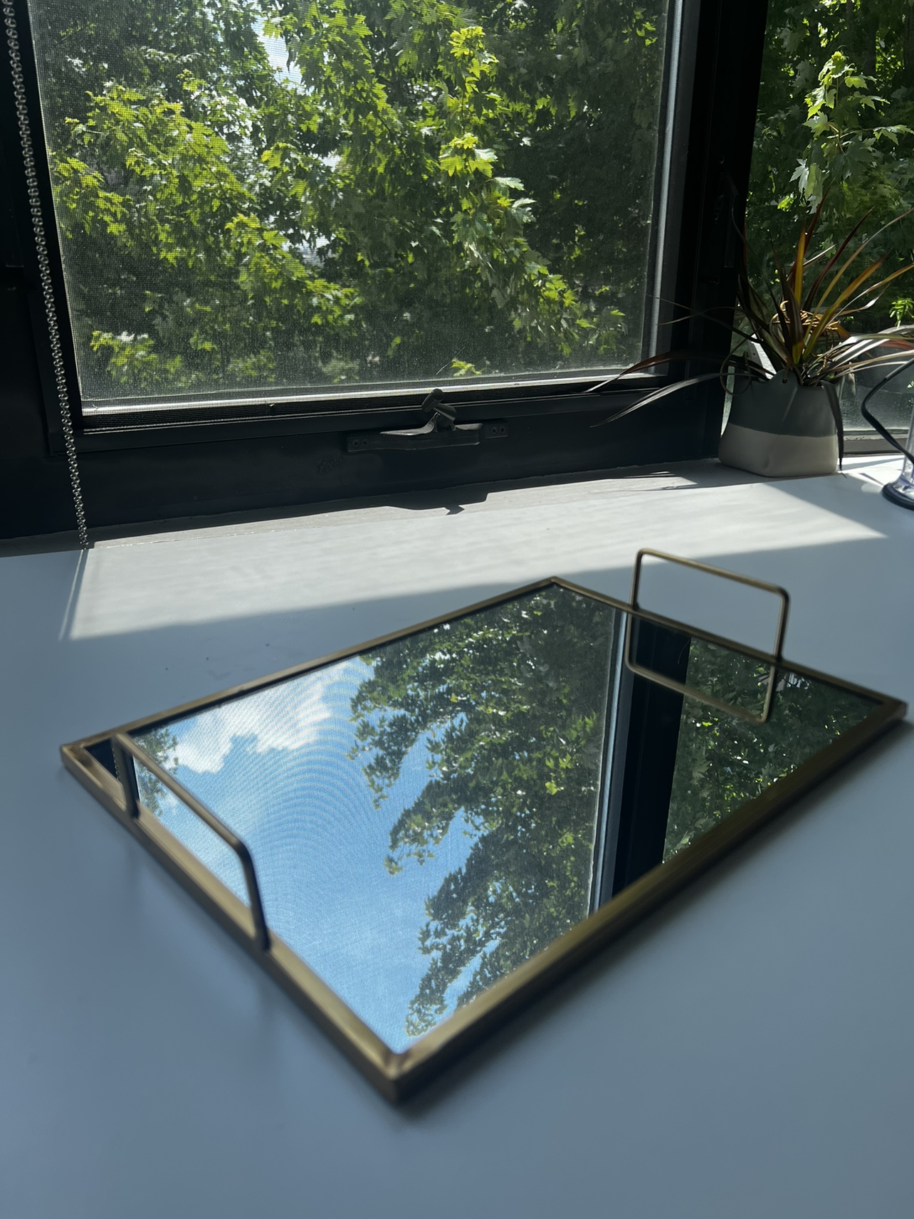 Mirror tray